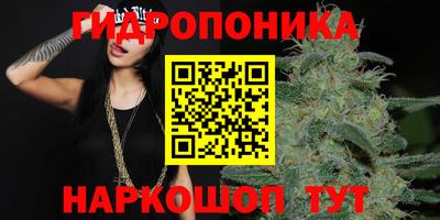 ALPHA PVP Будённовск