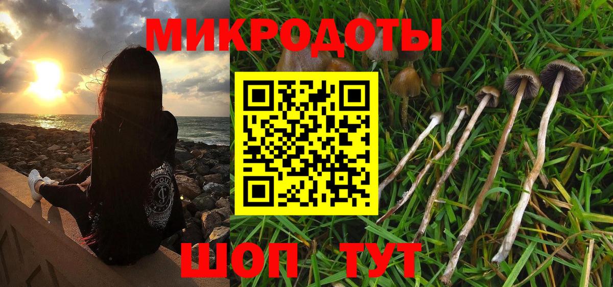 Псилоцибиновые грибы Psilocybe Тихорецк