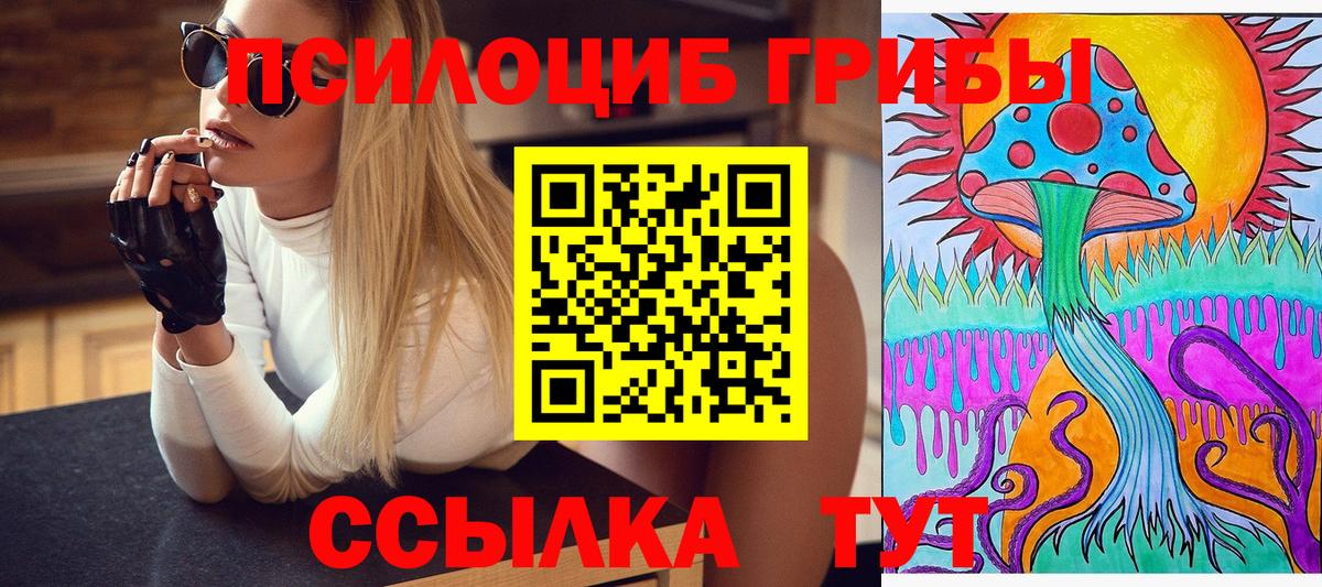 купить наркотик  Псилоцибиновые грибы MAGIC MUSHROOMS  Вход с VPN  Псилоцибиновые грибы Cubensis  Тихорецк 